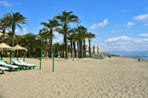 dos hamcas mirando al mar con una playa siendo la de Torremolinos y al final se ven 3 torres que son las torres de playamar y también hay un pequeña zona de palmeras al lado del mar. Prepara tú negocio en temporada alta en Torremolinos